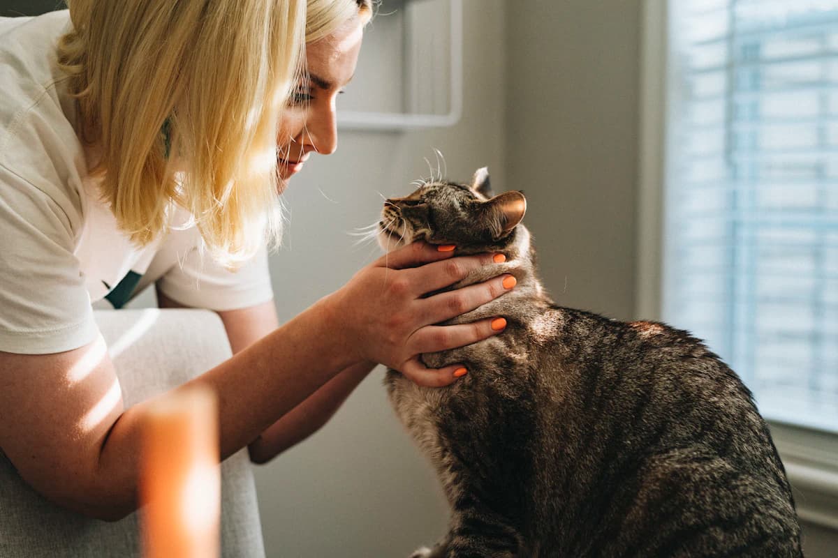 A groomer holding a cat